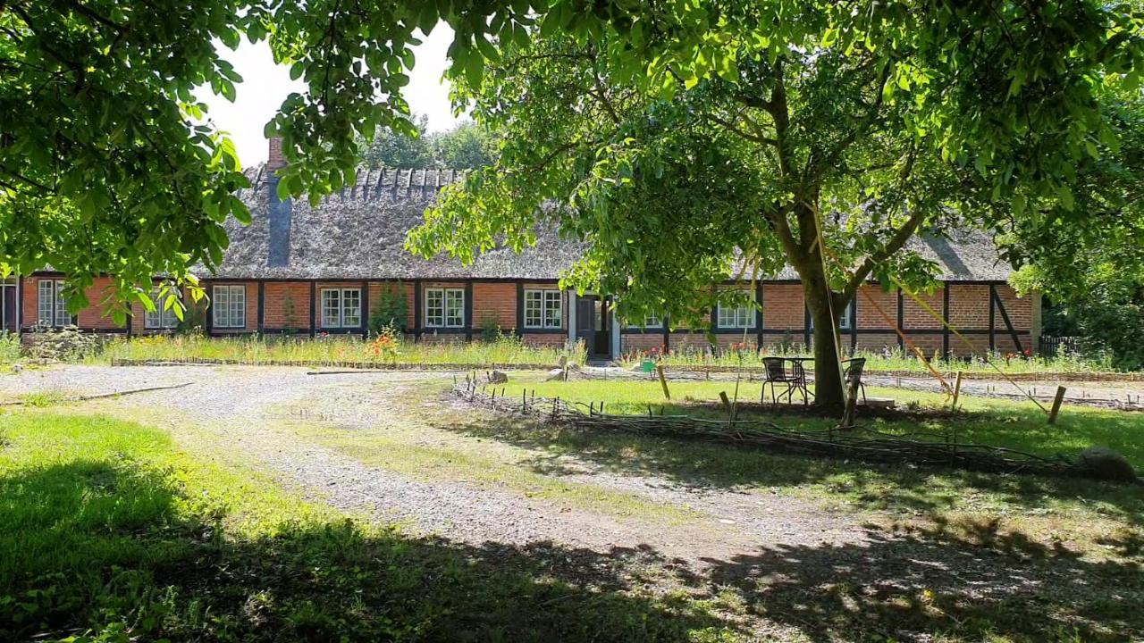 Alter Priesterhof - Idyllische Ferienhausvermietung Нюкебинґ-Фальстер Екстер'єр фото